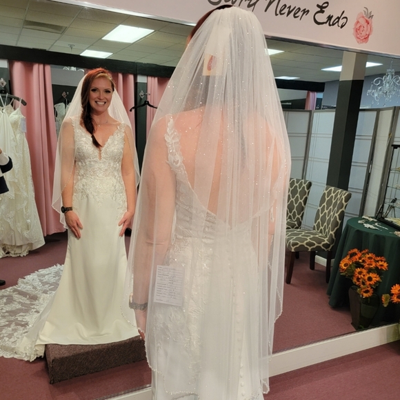 Stella York - Wedding Dress Sz 12 - Picture 10 of 12